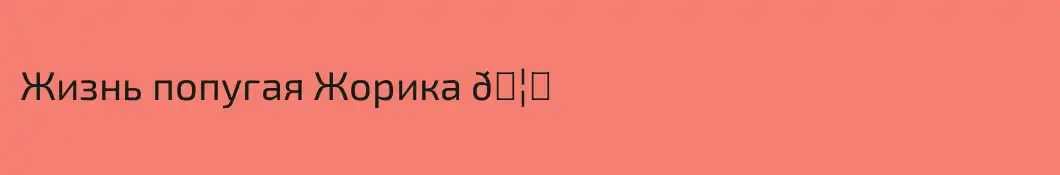 Жизнь попугая Жорика 🦜